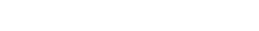 Lead Pro México